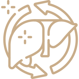 Queima de Gordura e Detox